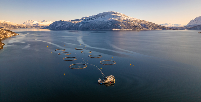 Dronebilde over merder ved lokalitet Forså